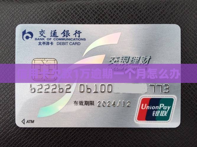 信用卡欠款1万逾期一个月怎么办