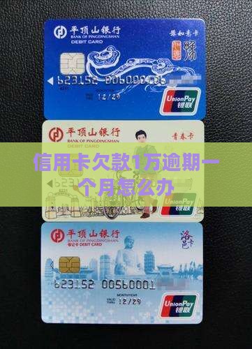 信用卡欠款1万逾期一个月怎么办