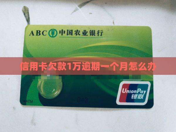 信用卡欠款1万逾期一个月怎么办