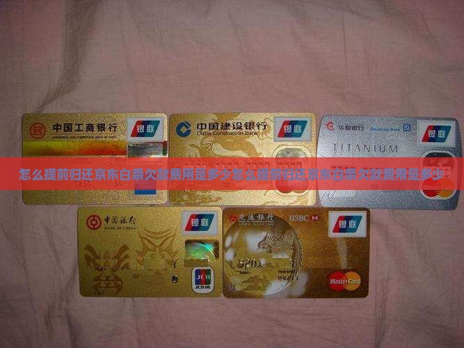 怎么提前归还京东白条欠款费用是多少