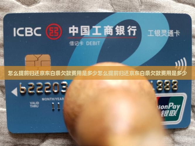 怎么提前归还京东白条欠款费用是多少