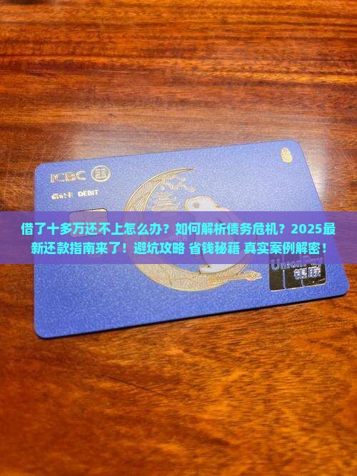 借了十多万还不上怎么办