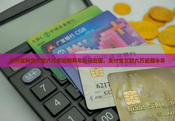 支付宝网贷欠款六万多逾期两年如何处理