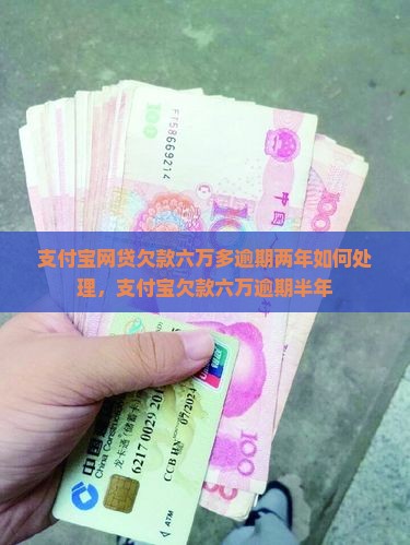 支付宝网贷欠款六万多逾期两年如何处理