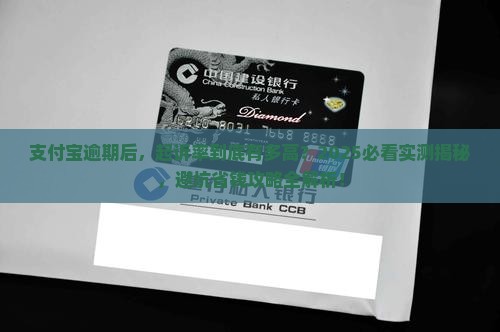 支付宝逾期后起诉率如何计算