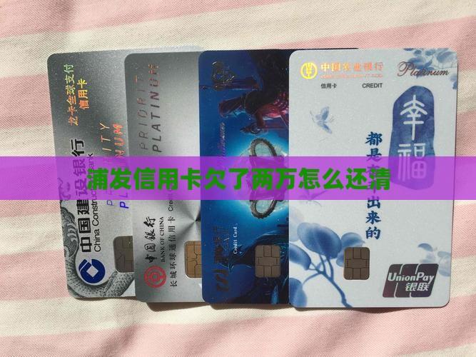 浦发信用卡欠了两万怎么还清
