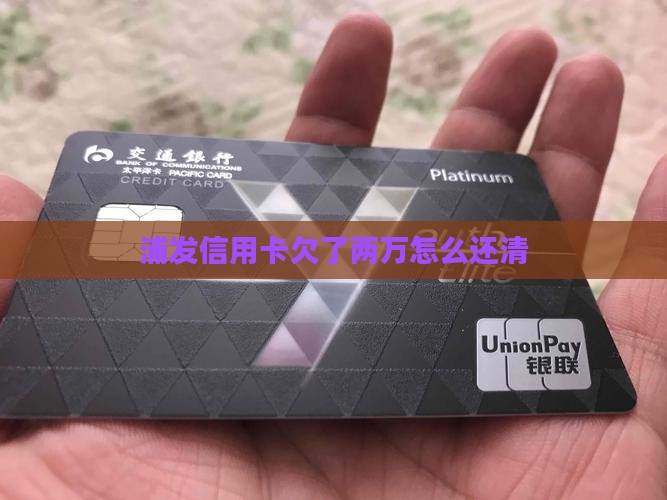 浦发信用卡欠了两万怎么还清