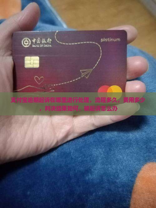 支付宝逾期起诉在哪里进行处理