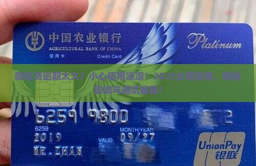微粒贷逾期太久会怎么样对个人信用有什么影响