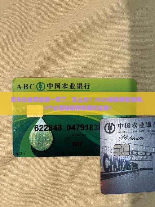 京东白金条逾期一周了怎么办
