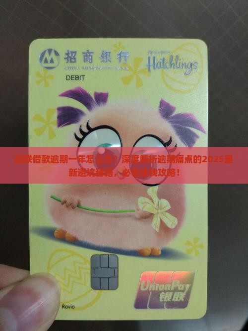 招联借款逾期一年怎么办
