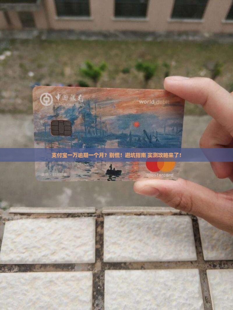 支付宝一万逾期一个月怎么办