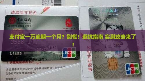支付宝一万逾期一个月怎么办