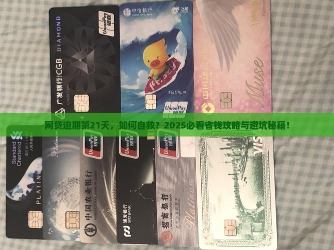 网贷逾期第21天后怎么办