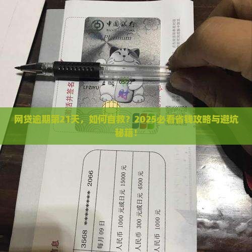 网贷逾期第21天后怎么办