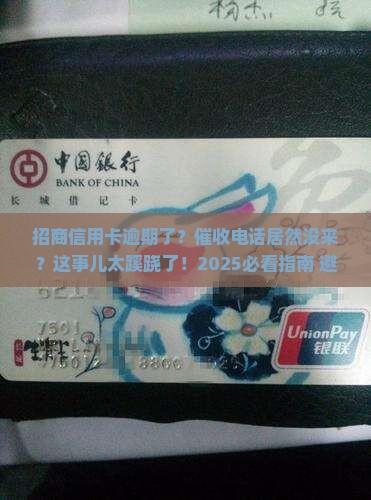 招商信用卡逾期没有催收该怎么办