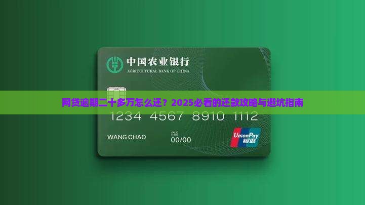 网贷逾期二十多万如何还清