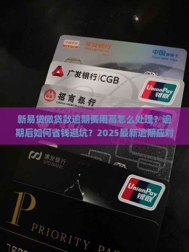 新易贷微贷款逾期费用高该如何应对