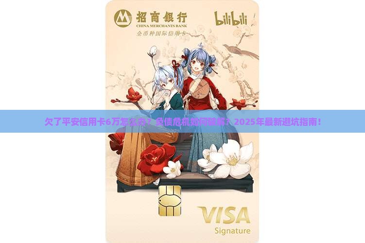 欠了平安信用卡6万怎么办