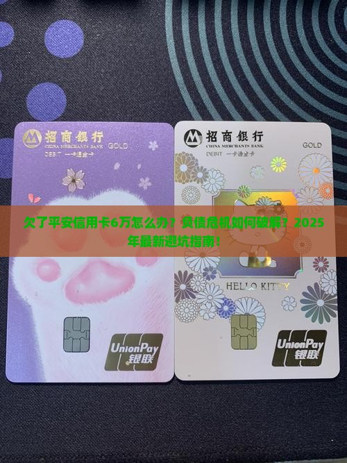欠了平安信用卡6万怎么办