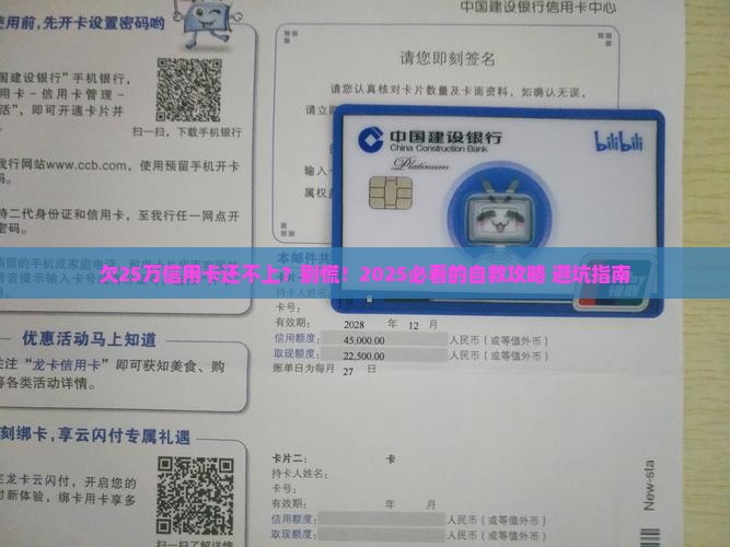 欠信用卡25万还不上怎么处理