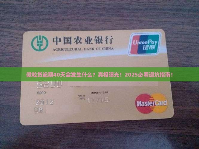 微粒贷逾期40天会发生什么