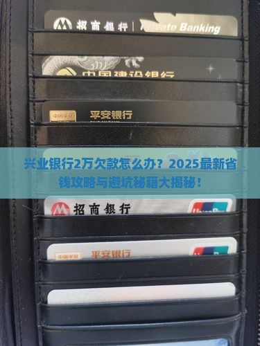 欠兴业银行2万的处理方式