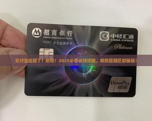 支付宝逾期了找谁协商延期还款