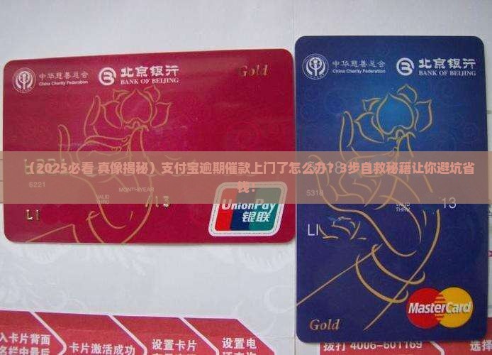 支付宝逾期催款上门怎么处理