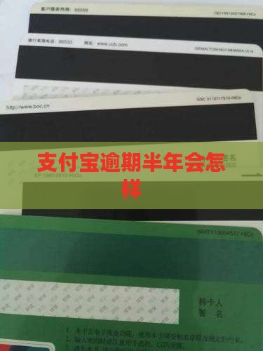 支付宝逾期半年会怎样