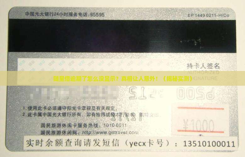 随星借逾期了为什么没有显示 随星借逾期了为什么没有显示