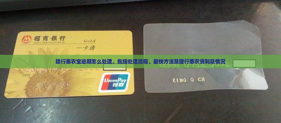 建行惠农宝逾期怎么处理