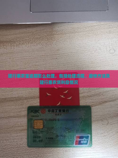 建行惠农宝逾期怎么处理