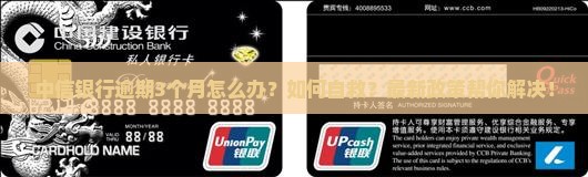 中信银行逾期3个月应该如何处理