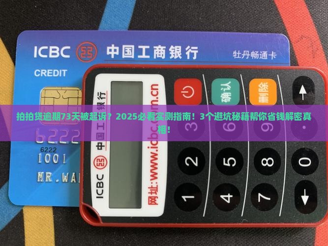 拍拍贷逾期73天起诉