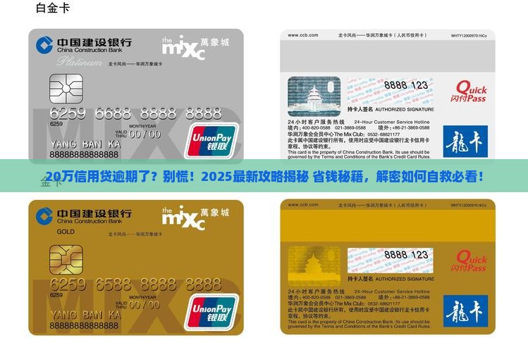 个人信用贷款20万逾期如何处理