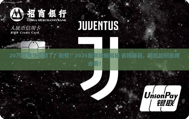 个人信用贷款20万逾期如何处理