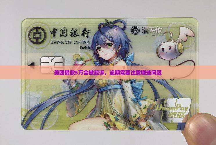 美团借款5万会不会被起诉需要注意哪些问题