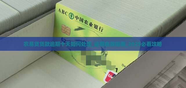 农易贷贷款逾期十天如何处理