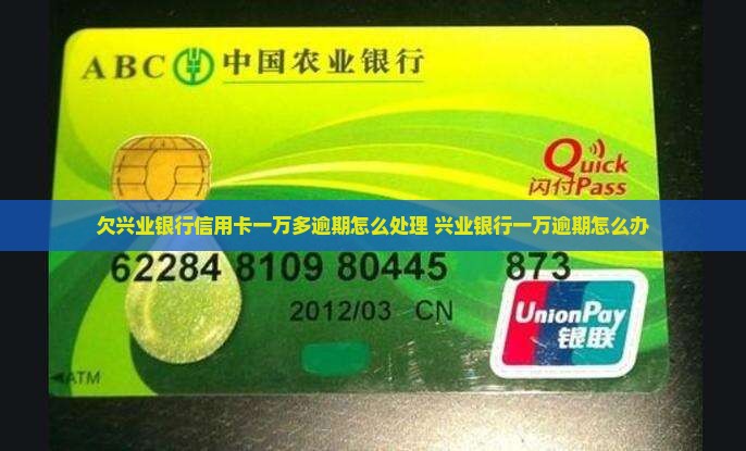 欠兴业银行信用卡1万
