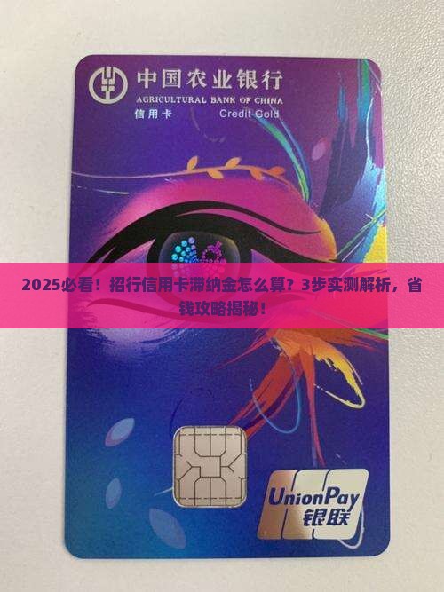 招行信用卡滞纳金计算公式详解