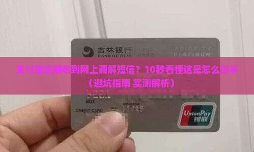 支付宝逾期收到网上调解短信是什么意思