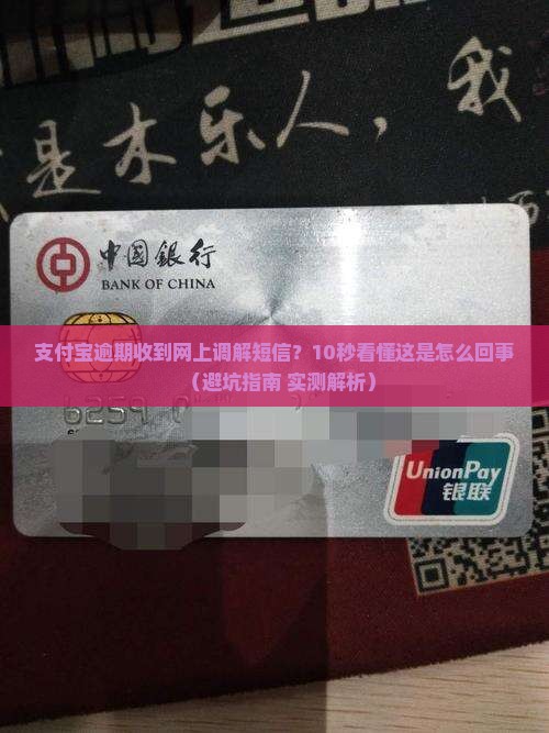 支付宝逾期收到网上调解短信是什么意思