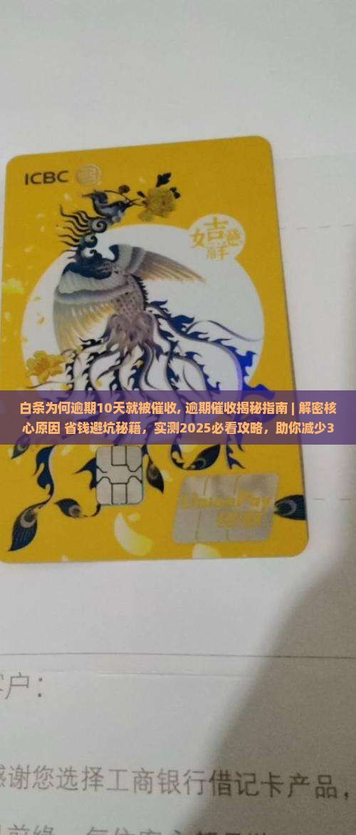 白条为何逾期10天就被催收