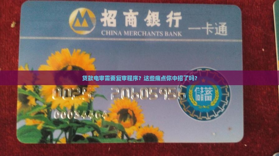 贷款电审需要复审程序
