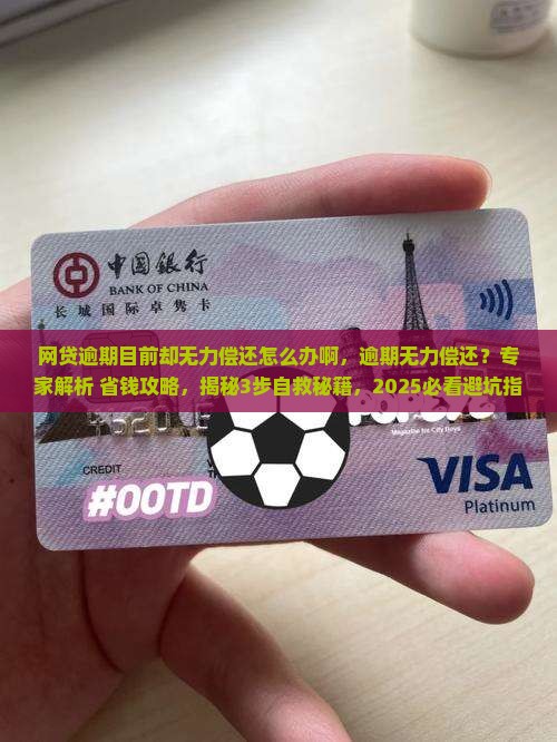 网贷逾期目前却无力偿还怎么办啊