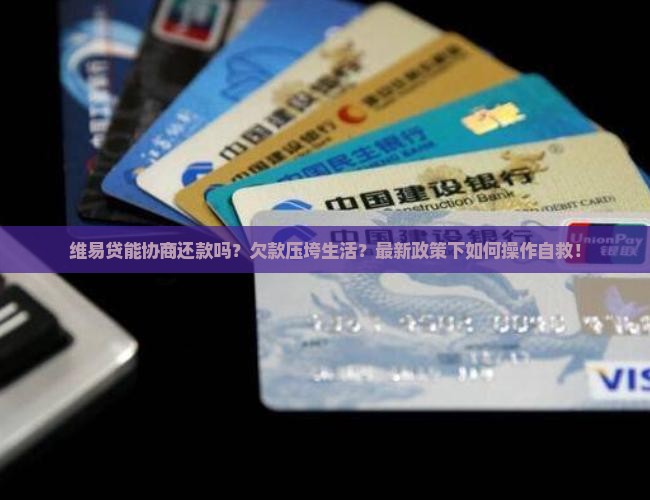 维易贷能协商还款吗如何操作