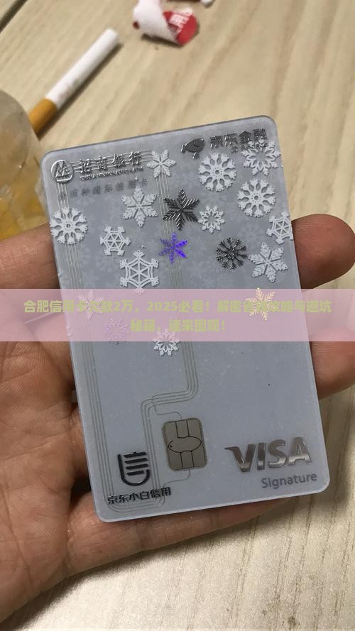 合肥信用卡欠款2万