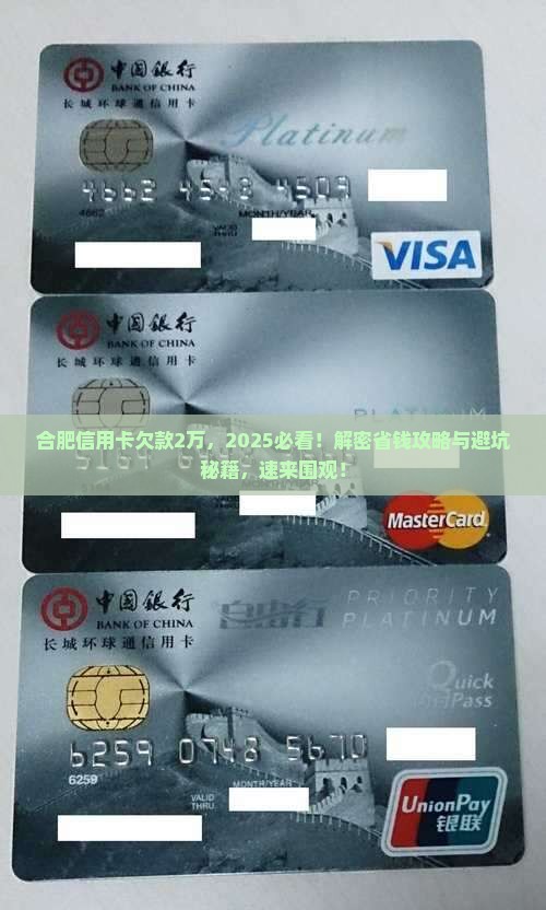 合肥信用卡欠款2万