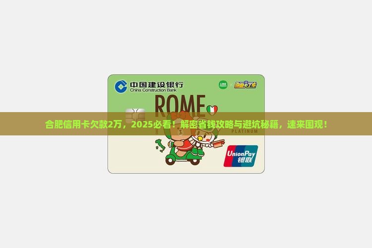 合肥信用卡欠款2万